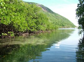 Vé máy bay Sài Gòn Côn Đảo